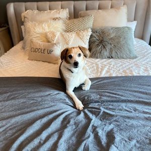 Meet your Posher, Marissa